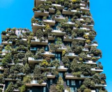 Bosco Verticale. L'eco architettura dell'edificio denominato Bosco Verticale, a Milano. 