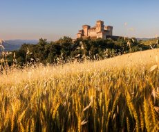 Castello di Torrechiara. Veduta dai campi di grano