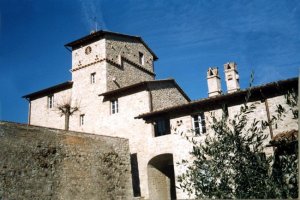 Due antichi casali in collina con torre colombaia datata 1600 a.d. divisi da una bella piazzetta, circondati dagli olivi dell'azienda agricola. 