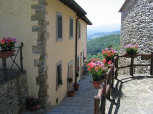 La tranquillità del Borgo immerso nella natura Toscana