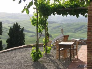 Podere Finerri - The Lazy Olive apartments - Photos 4