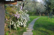 Visitez la page de Alle mimose dans La Spezia