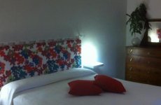 Visit B&b sunflower's page in Lanciano