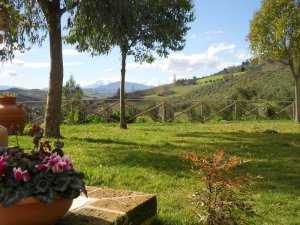 Il nostro giardino, circondato di note floreali, e rivolto verso le colline e i Monti Sibillini e invita al relax ad ogni ora del giorno....