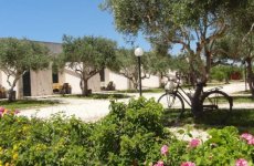 Visit Camping lilybeo village's page in Marsala