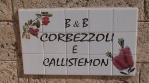 B&b Corbezzoli e Callistemon - Photo 2