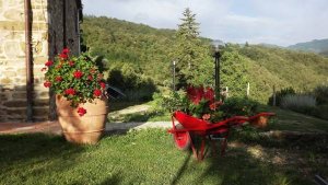 Foto Panorama dal Poderino Bed and breakfast
